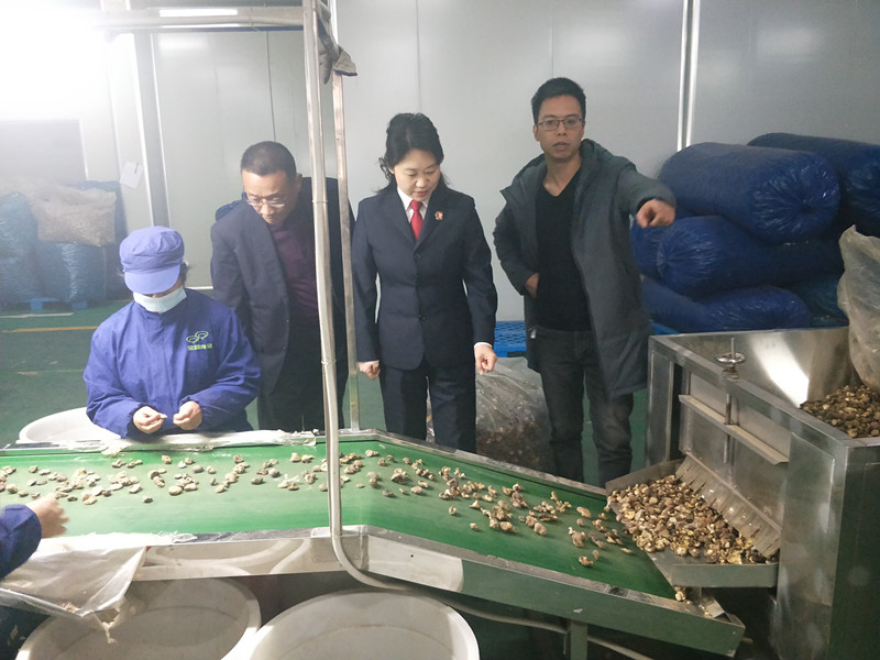 微信图片_20210329143156_副本.jpg