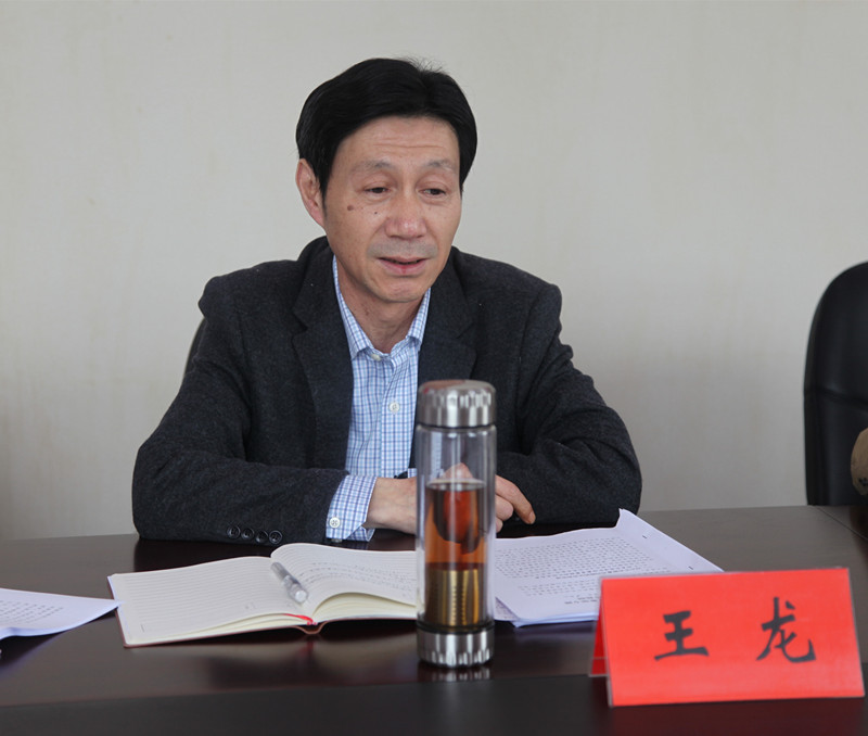 图②：省指导组副组长王龙讲话_副本.jpg