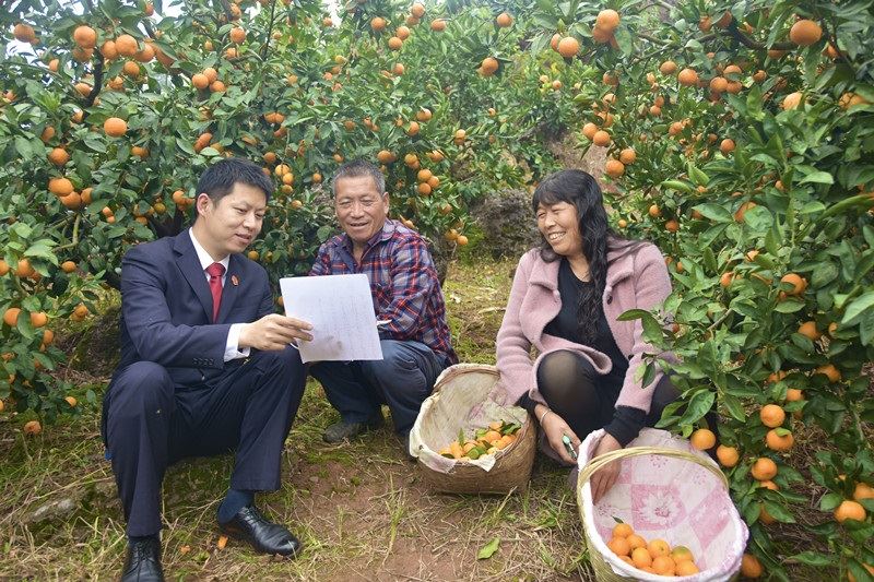 图①：法官和橘农席地而坐探讨柑橘销售过程中遇到的法律风险_副本.jpg